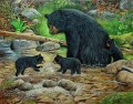 little bears playing in stream